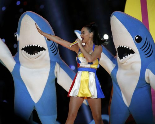 Katy Perry performs during the halftime show at the NFL Super Bowl XLIX football game between the Seattle Seahawks and the New England Patriots in Glendale, Arizona, February 1, 2015.  REUTERS/Lucy Nicholson (UNITED STATES  - Tags: SPORT FOOTBALL ENTERTAINMENT TPX IMAGES OF THE DAY)