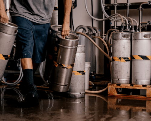 Cervejaria utiliza algas para compensar as emissões de carbono