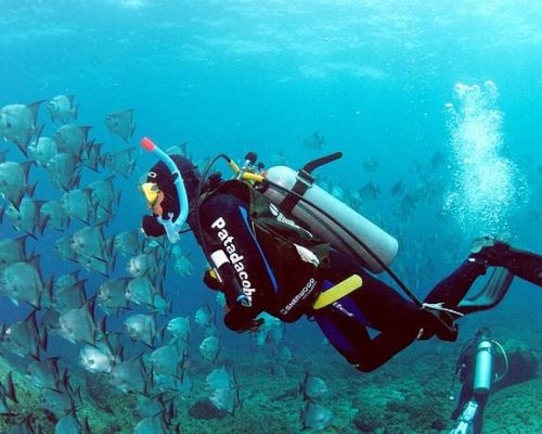 Barraca portátil permite acampar debaixo d’água