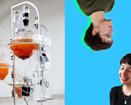 Conheça SAM, o vencedor do Future Food Design Awards 2017