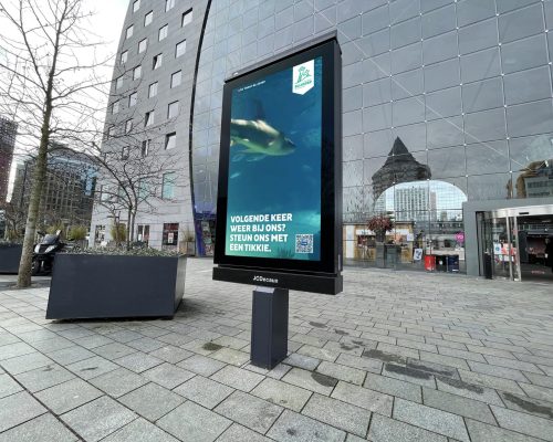 Zoológico de Rotterdam leva seus animais às ruas através de lives